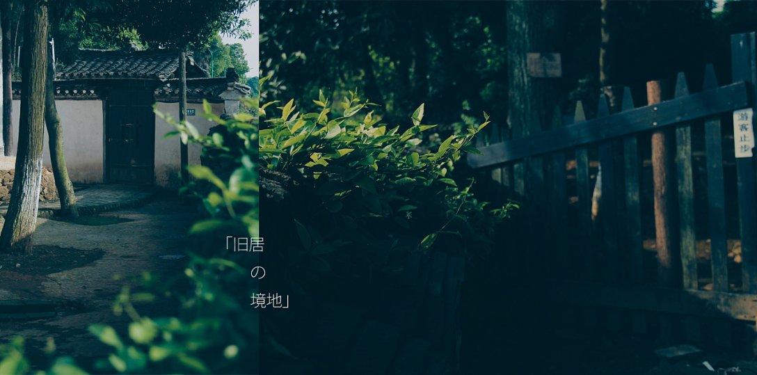 春雨直播app